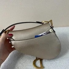 Dior Saddle Small Top Handle Underarm 4
