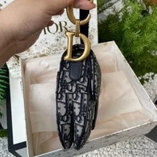 Dior Saddle Embroidered and - Excellent #163Q9SA 2