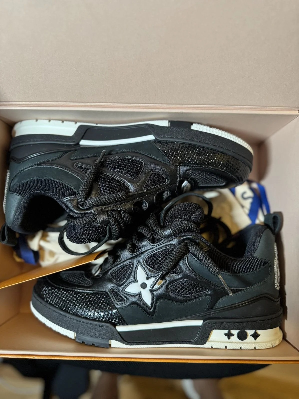 Louis Vuitton Skate Sneakers 4