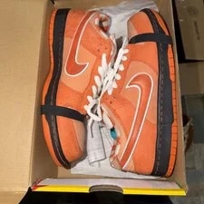 Nike SB Dunk Low 'Concepts Lobster' Size 9 FD8776-800 2