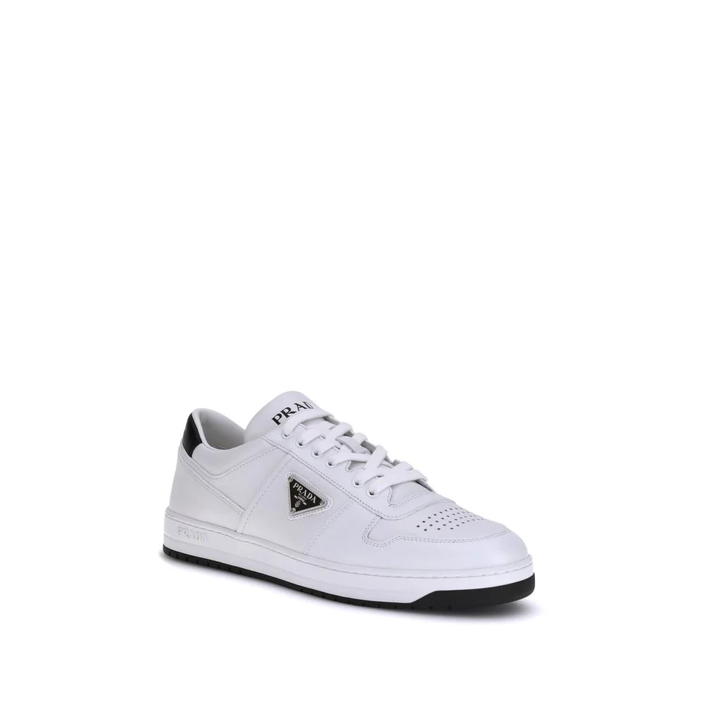 Bos Taurus Low Top 2