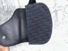 Dior Saddle Messenger One 3