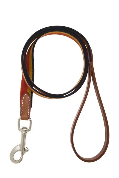 Multicolored Rocabar Dog Leash 2