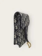Dior Saddle Vertical Chain Crossbody 118462415 4