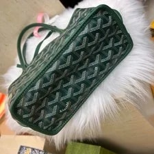 Goyard Anjou [] 4