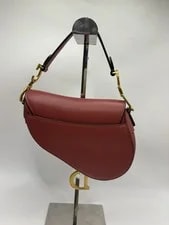 Dior Saddle Small Size and Color Matching 2