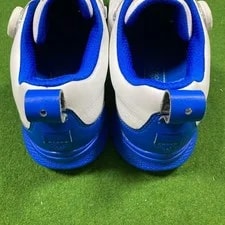Mizuno 6.5US Gore-Tex Boa Golf Shoes 4E Golf Model JPN Limited Edition 4