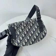 Dior Saddle Embroidered #R3MR 4
