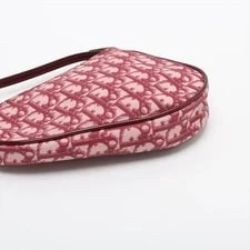 Christian Dior Trotter Saddle X 4