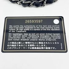 Chanel Classic Flap 2018-2019 4