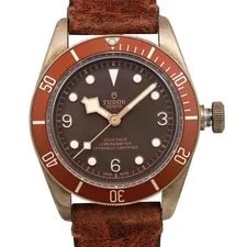 Tudor Heritage Black Bay 43mm Bronze Brown Dial Automatic 79250BM 2
