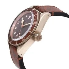 Tudor Heritage Black Bay 43mm Bronze Brown Dial Automatic 79250BM 3