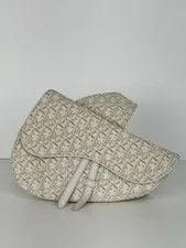 Dior Saddle Light With C-1 2