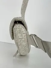 Dior Saddle Light With C-1 3