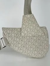 Dior Saddle Light With C-1 4