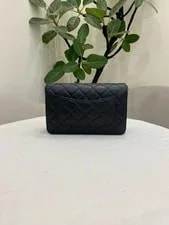 Chanel Wallet on Chain WOC Chain Flap Crossbody 2