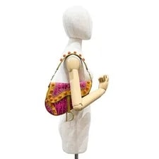 Dior Saddle Indienne Pom 3