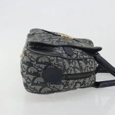 Christian Dior Trotter Double Saddle Auth 191979V 3