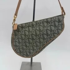 Dior Trotter Saddle All Over Pattern 2