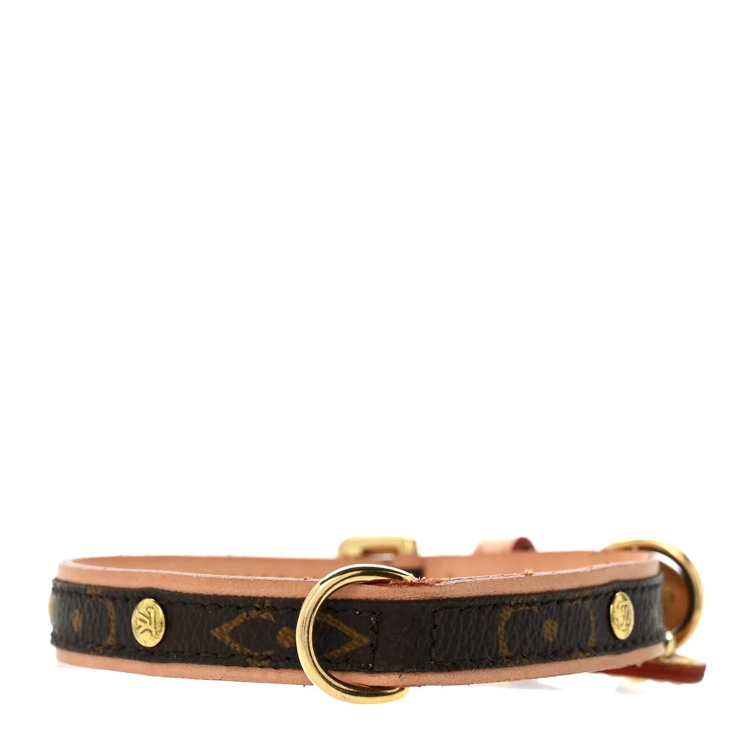 Baxter Dog Collar 2