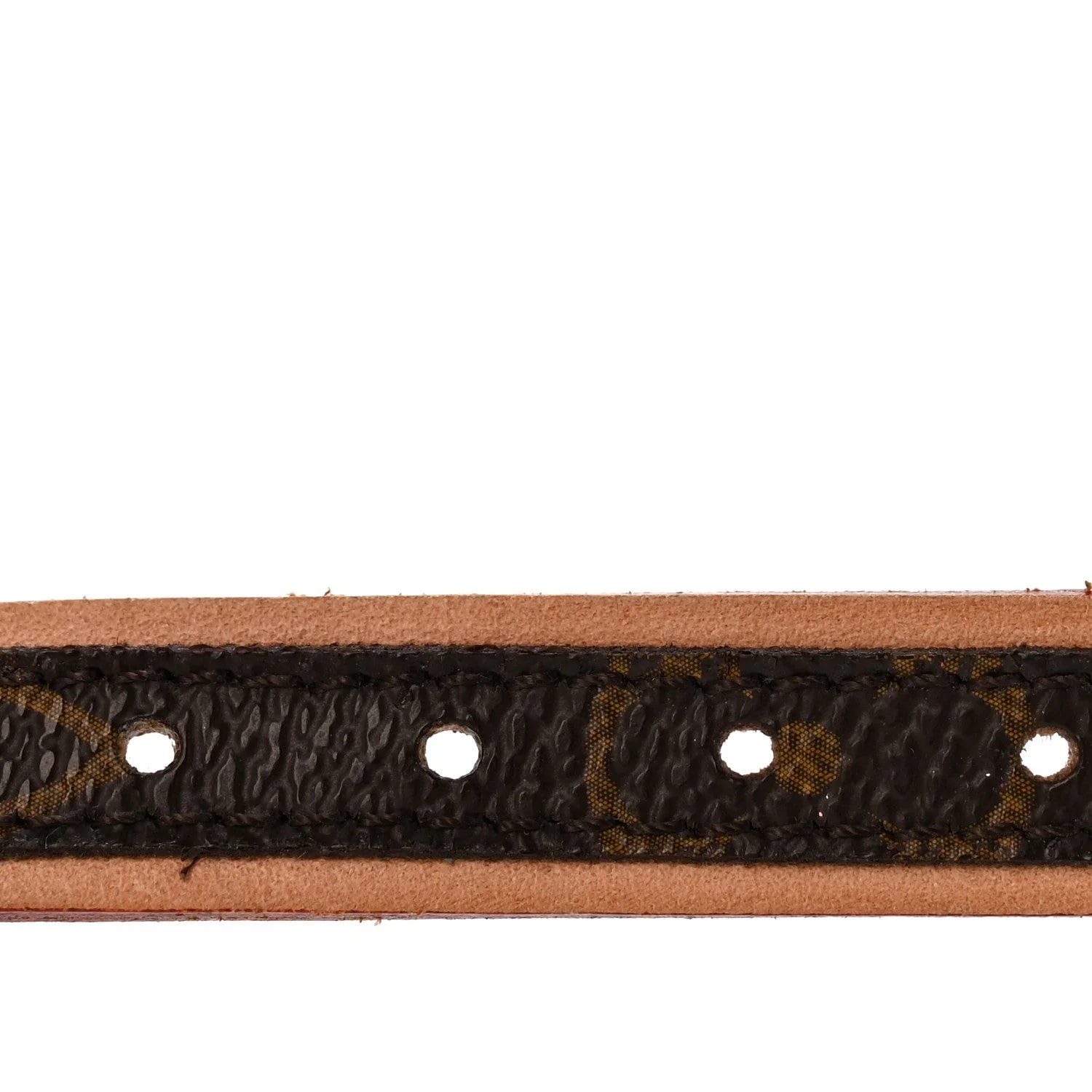 Baxter Dog Collar 3