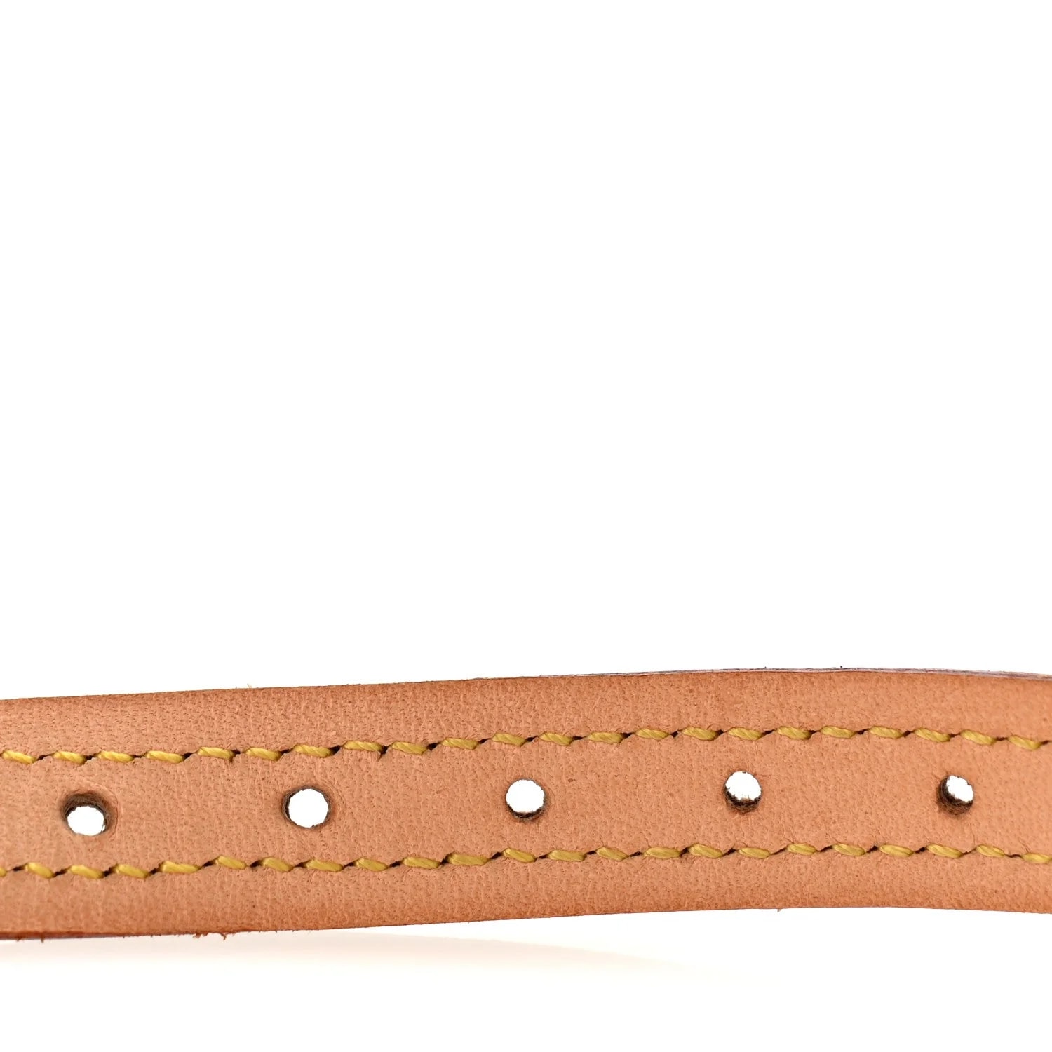 Baxter Dog Collar 4