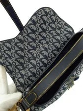 Christian Dior Trotter Saddle #TB2823 4