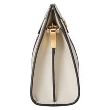 Gucci 503877 GG Marmont Ophidia Chain 4
