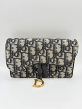 Christian Dior Saddle Belt Crossbody With Dust 2