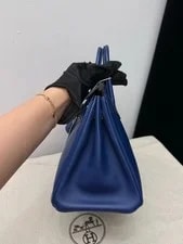 Hermès Birkin 25 Royal Top Handle 4