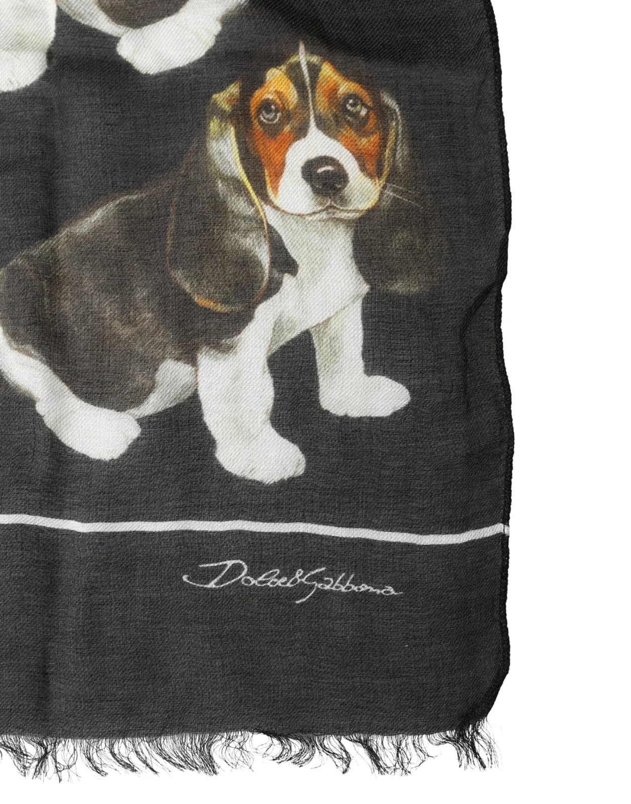 Dolce & Gabbana Modal Dog Print Fringed 178cm X 64cm Scarf 2