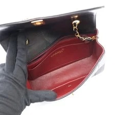 Chanel Diana 22 Flap 3