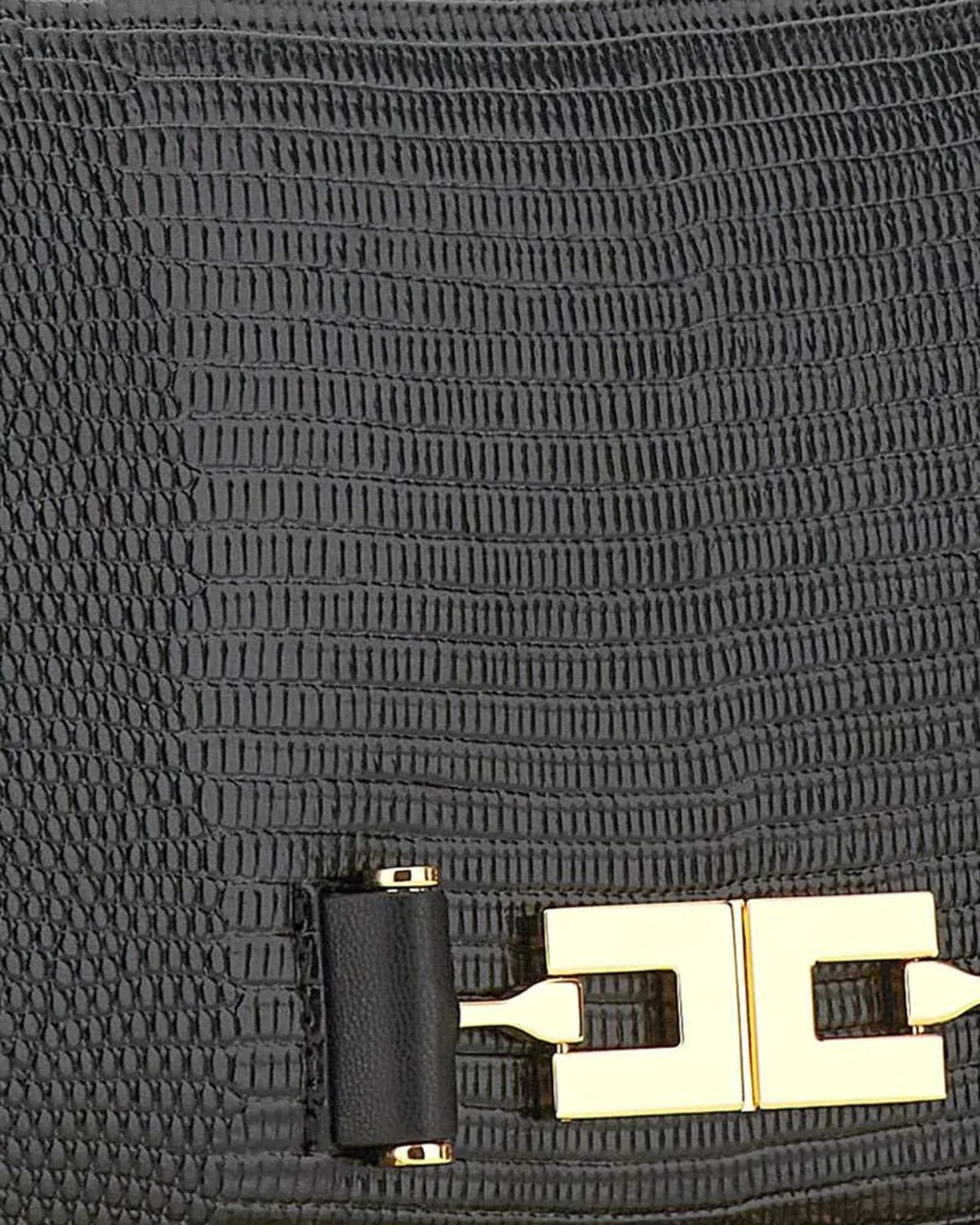 Elisabetta Franchi -Effect -Look — 3