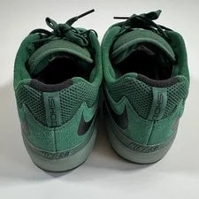 Nike SB Ishod Wair Skate Shoes DC7232-301 10 4