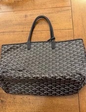 Goyard St. Louis Anjou 3