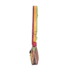 Dior Rasta Trotter Double Saddle Crossbody 3