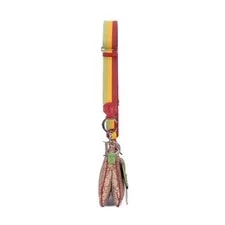 Dior Rasta Trotter Double Saddle Crossbody 4