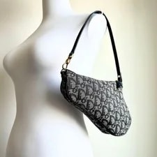 Dior Saddle Trava Luggage 2