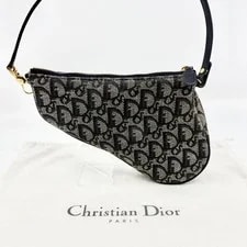 Dior Saddle Trava Luggage 3