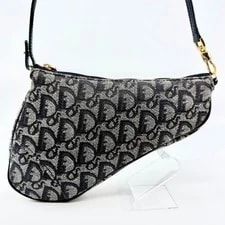 Dior Saddle Trava Luggage 4