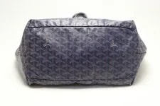 Goyard Saint Louis w/ France 3