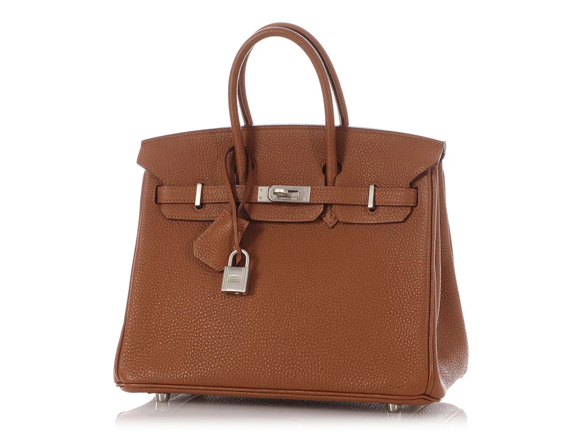 Hermès SO Birkin 25 2