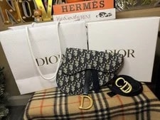 Christian Dior Saddle / Belt / Crossbody Conversion W COA 2