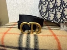 Christian Dior Saddle / Belt / Crossbody Conversion W COA 3