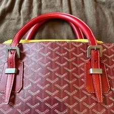 Goyard With Dust 3