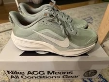 Nike ACG Pegasus Trail Hiking Outdoor Running HV8116-310 9.5 NEW 2
