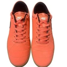 Nike SB Robona Skate 2