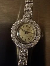 Patek Philippe Gubelin Platinum Diamonds, Archive Extract 2