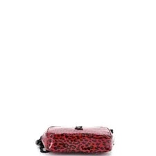 Saint Laurent Lou Camera Printed Mini 4
