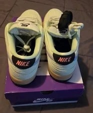 Nike SB Dunk Low Pro 'Verdugo Mountain' Shoes Lt. Liquid 11M Size 12 NEW 2